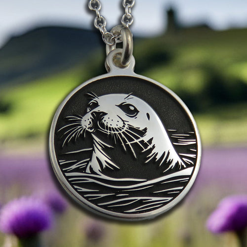 Images of Scotland - Seal