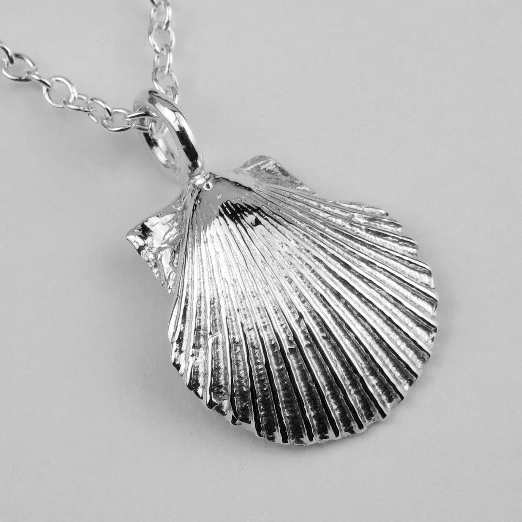 Portheras Scallop Shell Necklace - Natural Silver Cornish Jewellery -  Beautiful Sterling Silver from Cornwall