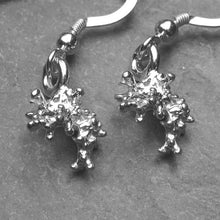 Coral Beach silver dangle earrings
