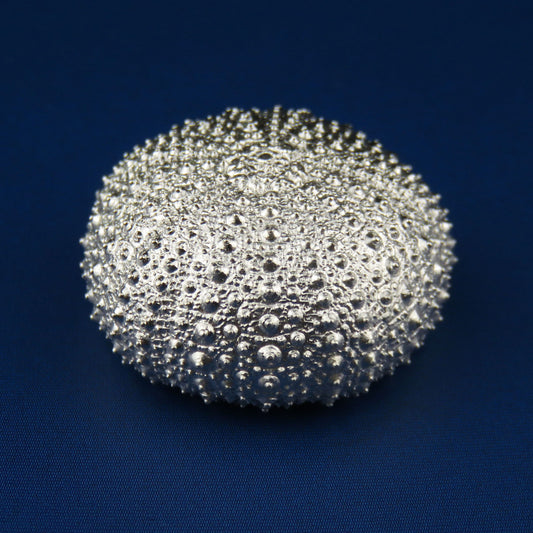 Little Sea Urchin silver collectable