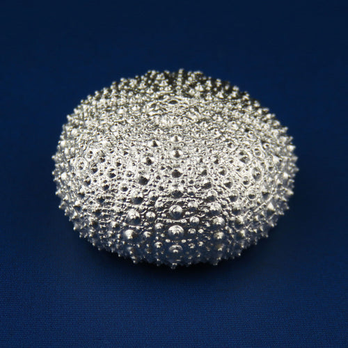 Little Sea Urchin silver collectable