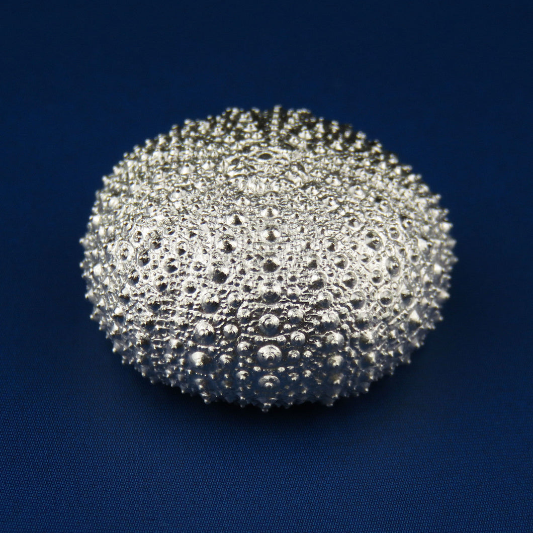 Little Sea Urchin silver collectable